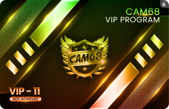 vip11
