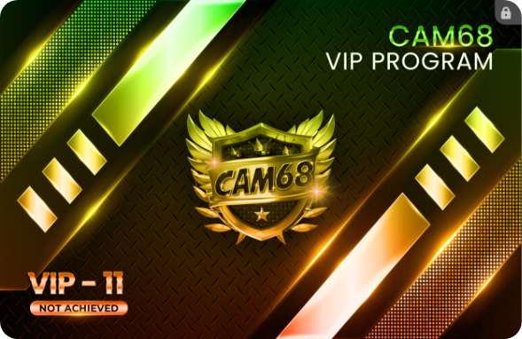 vip11